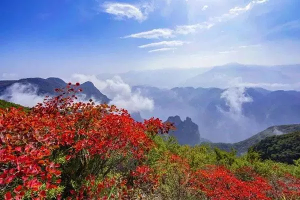 2021巫山神女景區(qū)賞紅葉一日游旅游線路