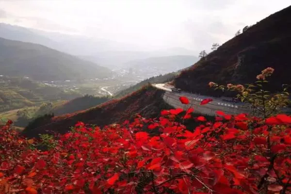 2021重慶巫山紅葉最佳觀賞路線