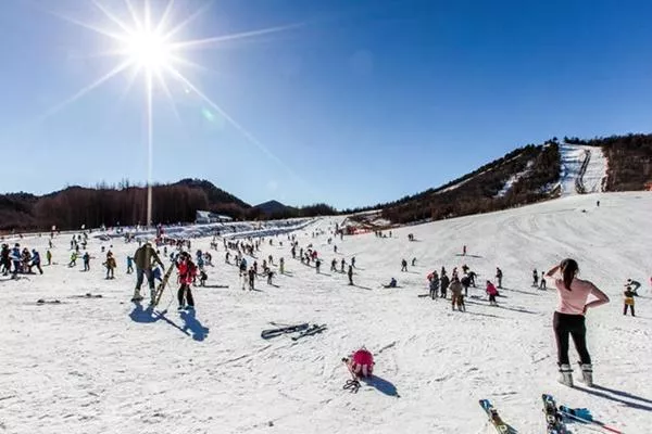 神龍架國際滑雪場門票多少錢