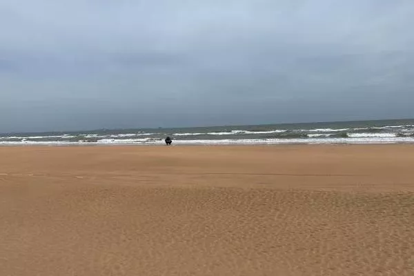 日照海濱國(guó)家森林公園地址 在哪里