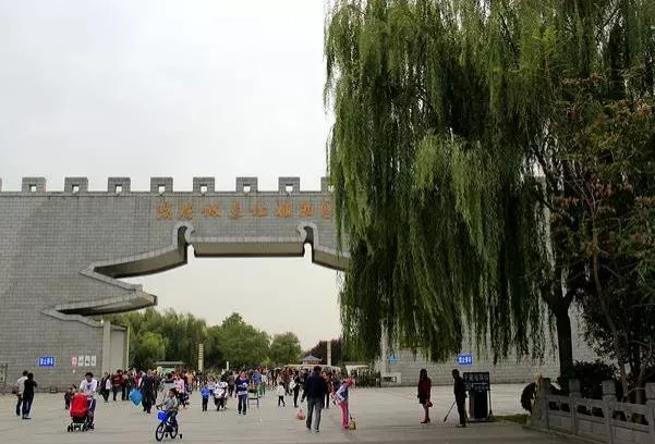 洛陽隋唐城遺址植物園露營的地方在哪里