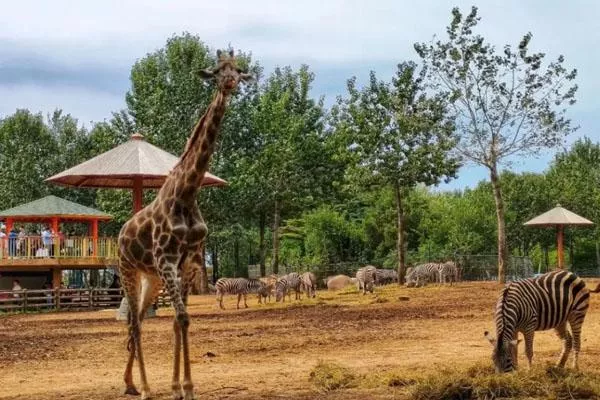 2022沈陽森林動(dòng)物園營業(yè)時(shí)間及門票價(jià)格