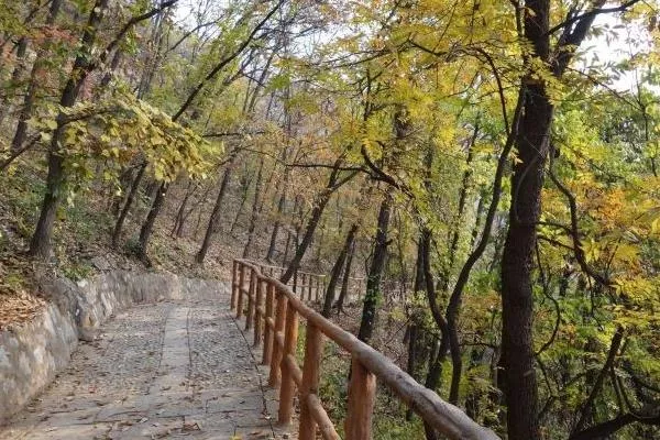 石家莊天桂山景區(qū)開放了嗎