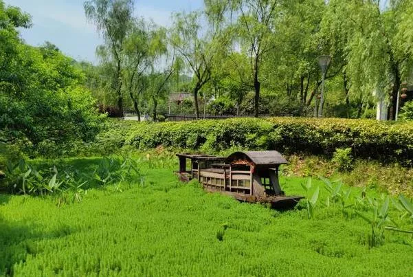 重慶園博園一日游攻略