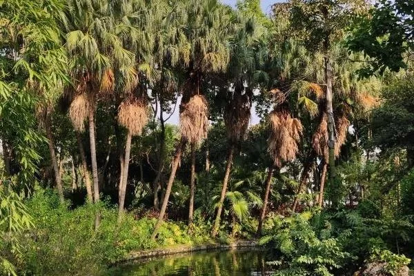 柳州柳侯公園好玩嗎 有什么好玩的