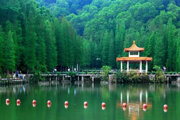 深圳仙湖植物園一日游攻略 附最佳游玩路線