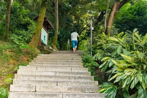 深圳鳳凰山可以開(kāi)車上山頂嗎