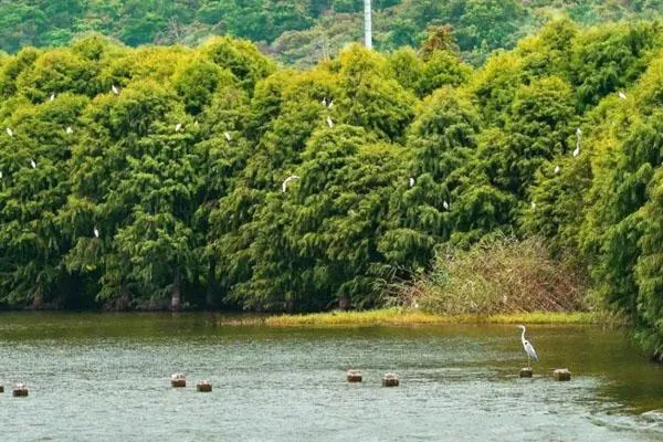 蘇州太湖西山島的景點(diǎn)介紹 25個不容錯過的游玩景點(diǎn)