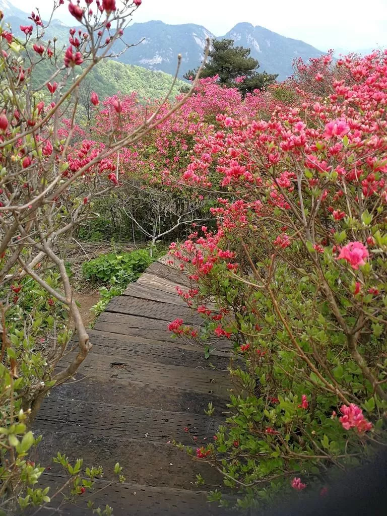 龜峰山風(fēng)景區(qū)好玩嗎 龜峰山旅游攻略