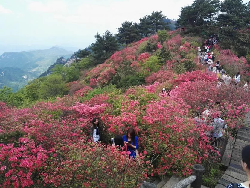 龜峰山風(fēng)景區(qū)好玩嗎 龜峰山旅游攻略