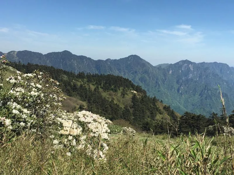 神農(nóng)架有什么好玩的地方 神農(nóng)架有野人嗎