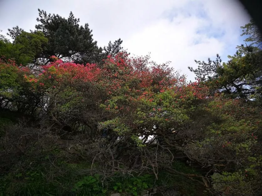 龜峰山風(fēng)景區(qū)好玩嗎 龜峰山旅游攻略