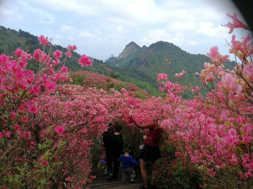 龜峰山風(fēng)景區(qū)好玩嗎 龜峰山旅游攻略