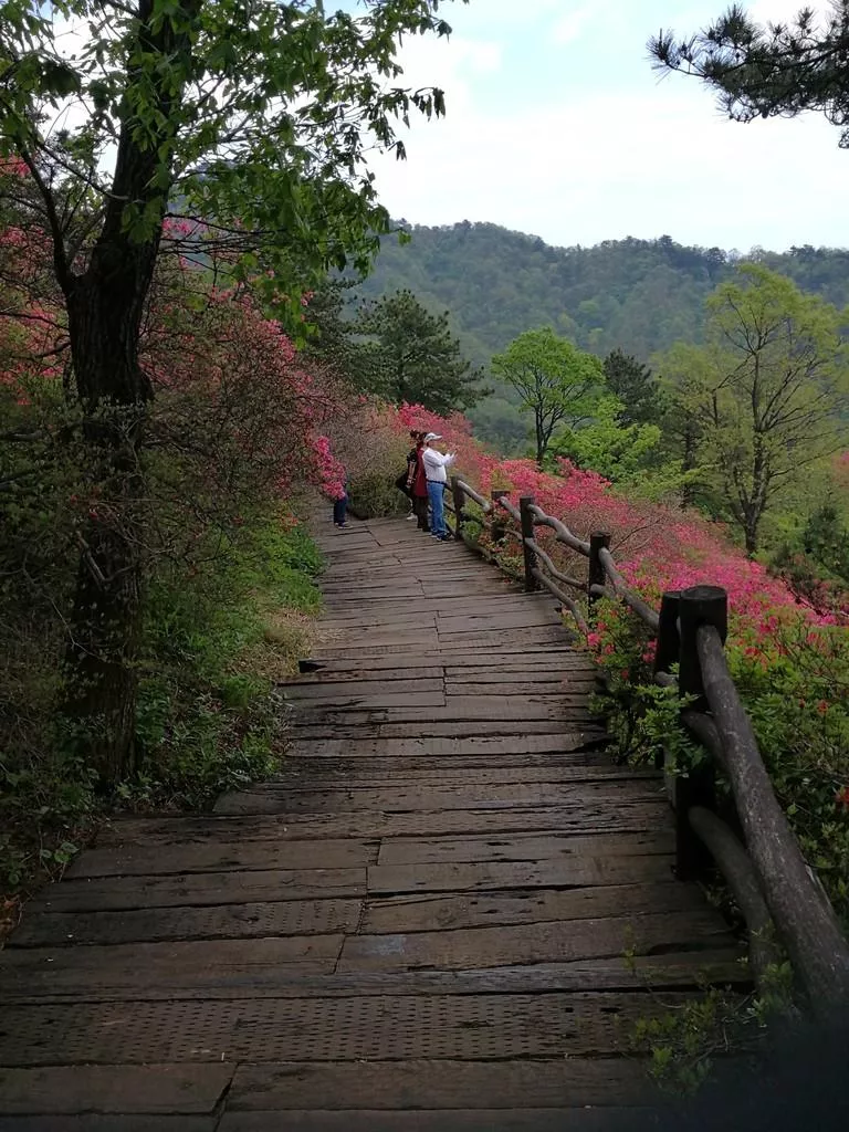 龜峰山風(fēng)景區(qū)好玩嗎 龜峰山旅游攻略