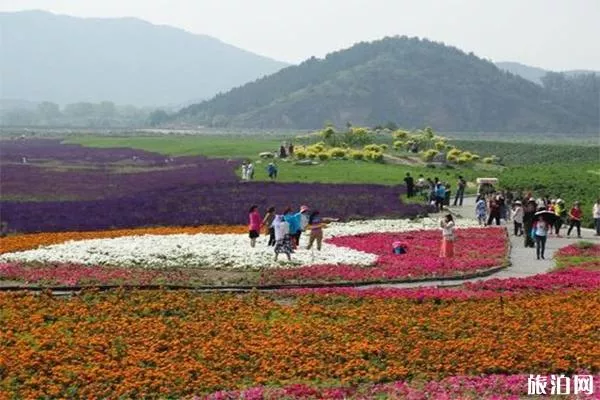 七孔橋花海介紹 什么時候去游玩最好