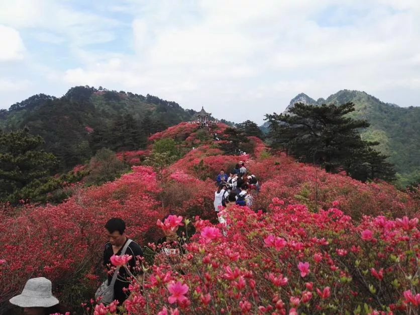 龜峰山風(fēng)景區(qū)好玩嗎 龜峰山旅游攻略