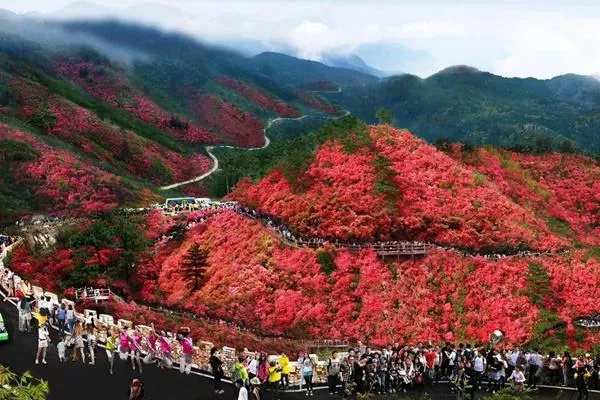 湖北武漢黃陂云霧山風(fēng)景區(qū)在哪里?木蘭云霧山在哪個(gè)地方?