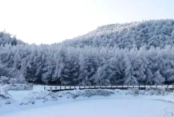 2022重慶茅草壩滑雪場(chǎng)攻略 門(mén)票價(jià)格和地址交通指南