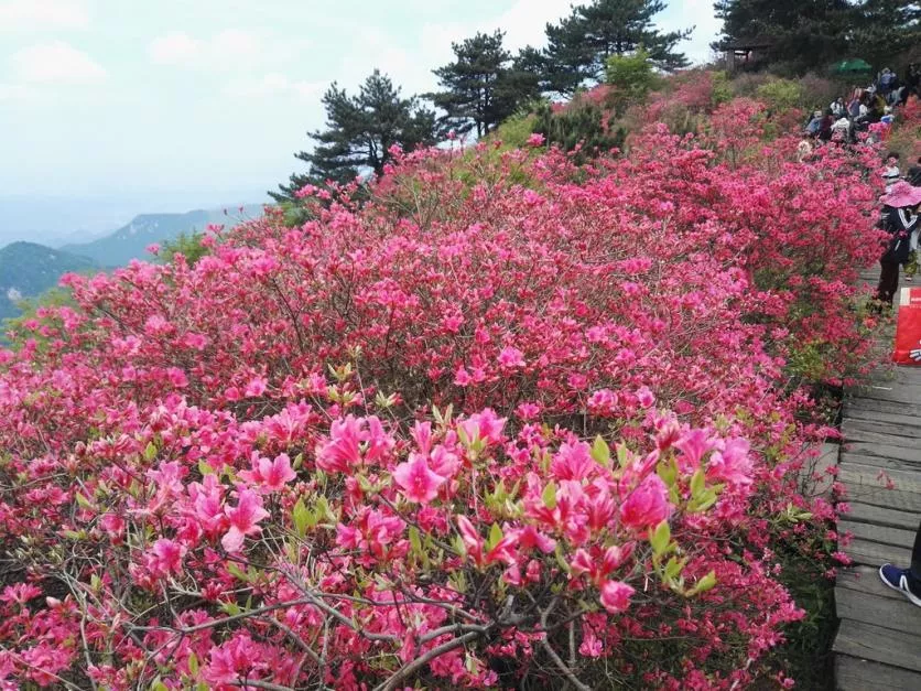 龜峰山風(fēng)景區(qū)好玩嗎 龜峰山旅游攻略