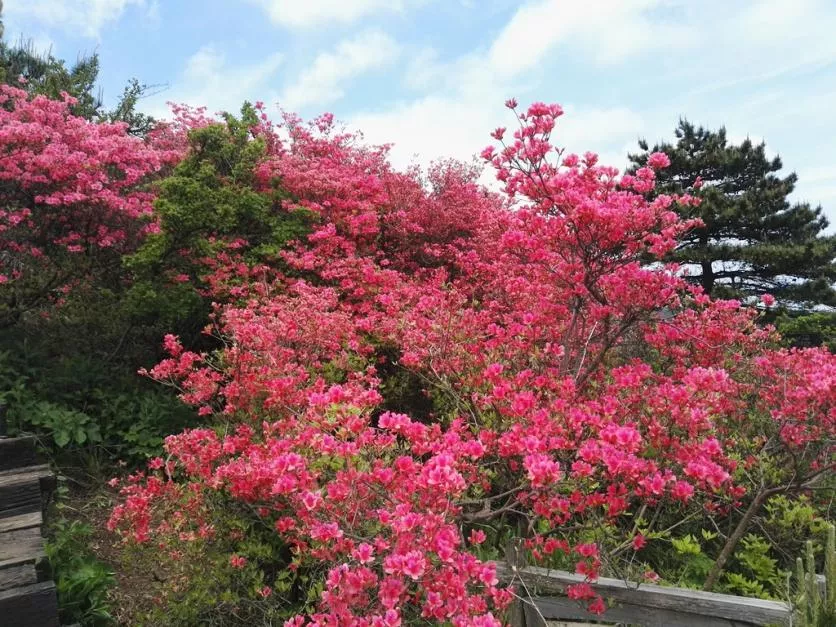 龜峰山風(fēng)景區(qū)好玩嗎 龜峰山旅游攻略