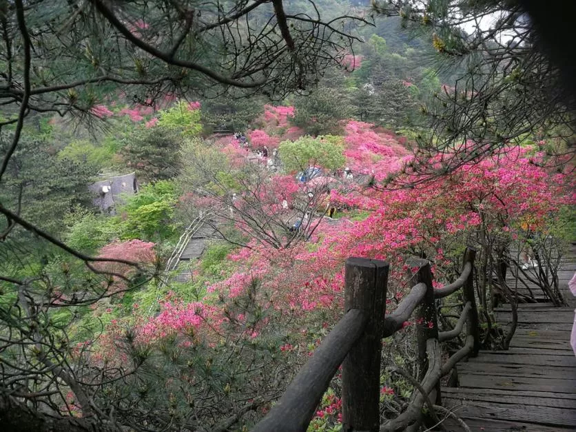 龜峰山風(fēng)景區(qū)好玩嗎 龜峰山旅游攻略