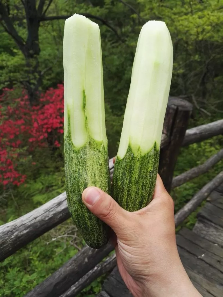 龜峰山風(fēng)景區(qū)好玩嗎 龜峰山旅游攻略