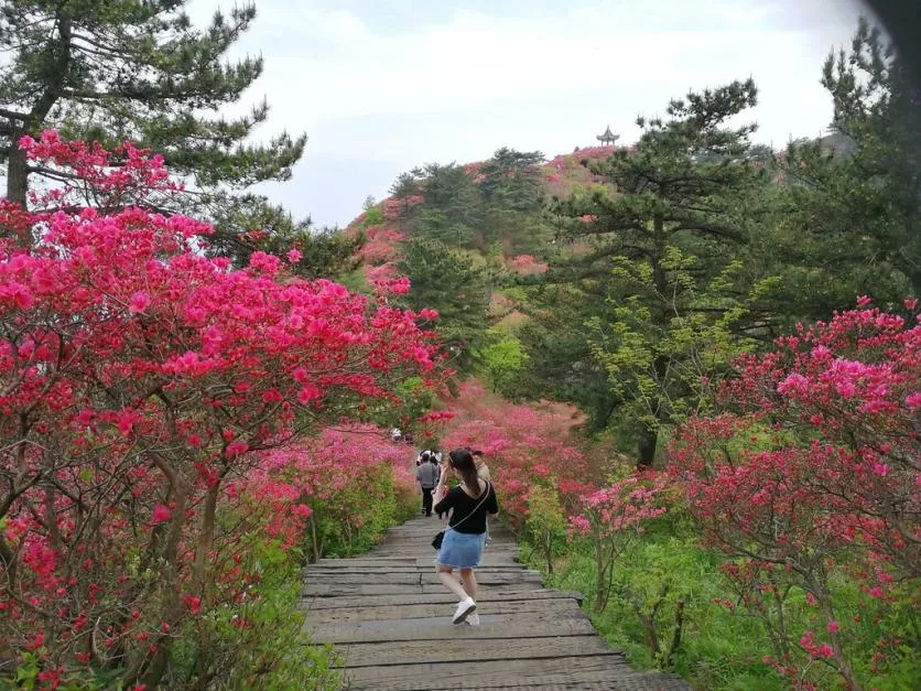 龜峰山風(fēng)景區(qū)好玩嗎 龜峰山旅游攻略