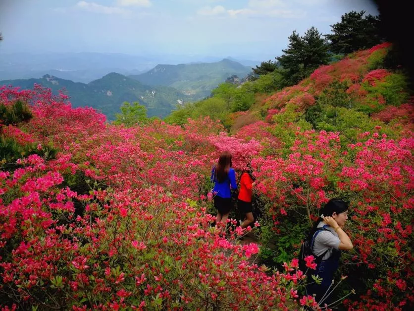 龜峰山風(fēng)景區(qū)好玩嗎 龜峰山旅游攻略