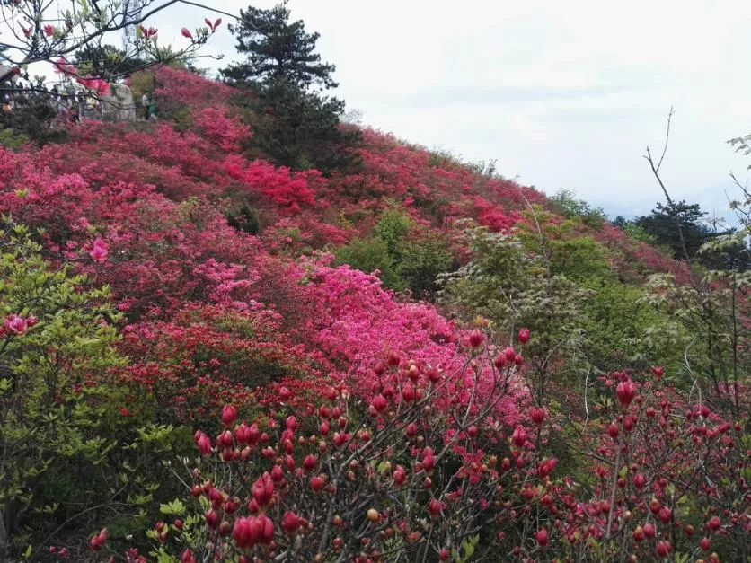 龜峰山風(fēng)景區(qū)好玩嗎 龜峰山旅游攻略