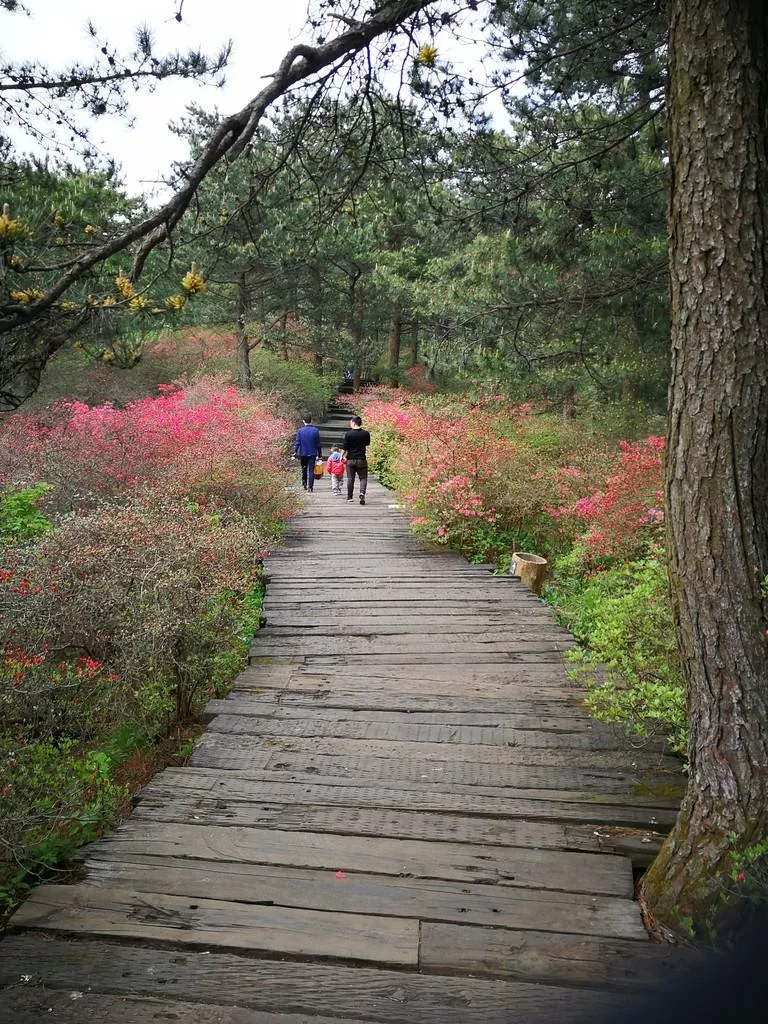 龜峰山風(fēng)景區(qū)好玩嗎 龜峰山旅游攻略