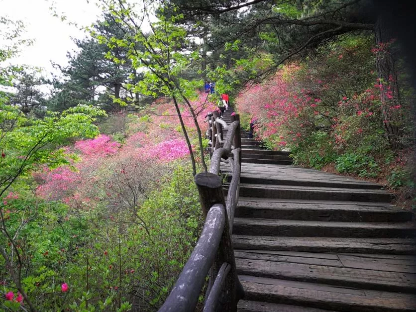 龜峰山風(fēng)景區(qū)好玩嗎 龜峰山旅游攻略