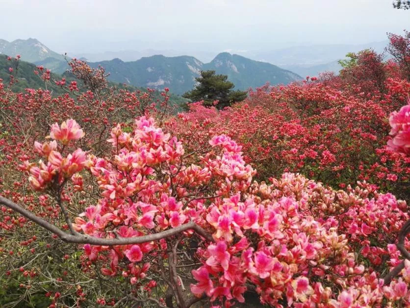 龜峰山風(fēng)景區(qū)好玩嗎 龜峰山旅游攻略