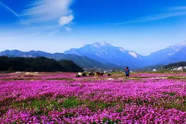 羅田燕兒谷景區(qū)游玩攻略 門(mén)票、住宿、最佳游玩時(shí)間都在這了