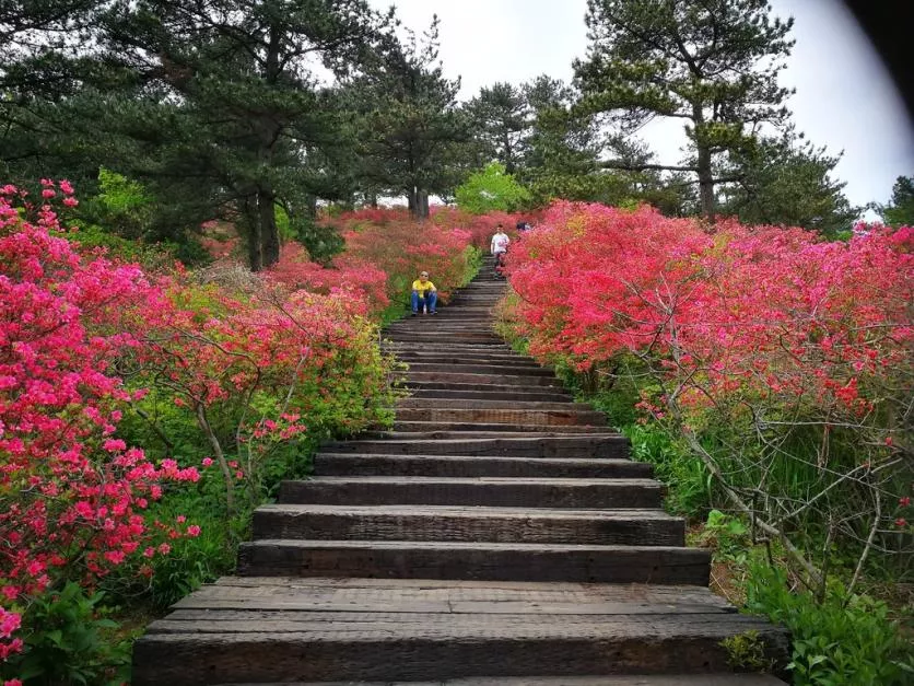 龜峰山風(fēng)景區(qū)好玩嗎 龜峰山旅游攻略