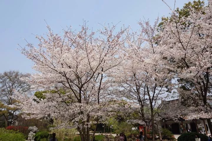 錫惠公園門票  錫惠公園門票多少錢