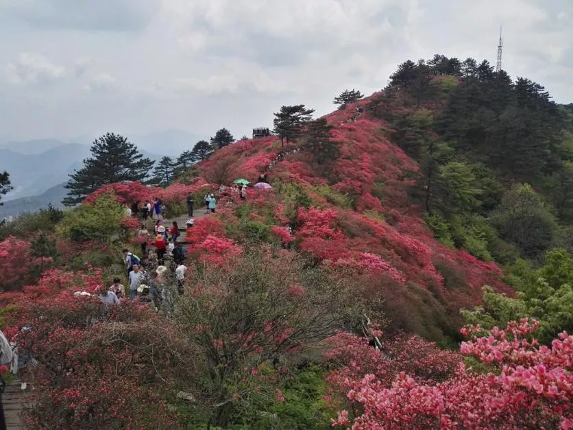 龜峰山風(fēng)景區(qū)好玩嗎 龜峰山旅游攻略