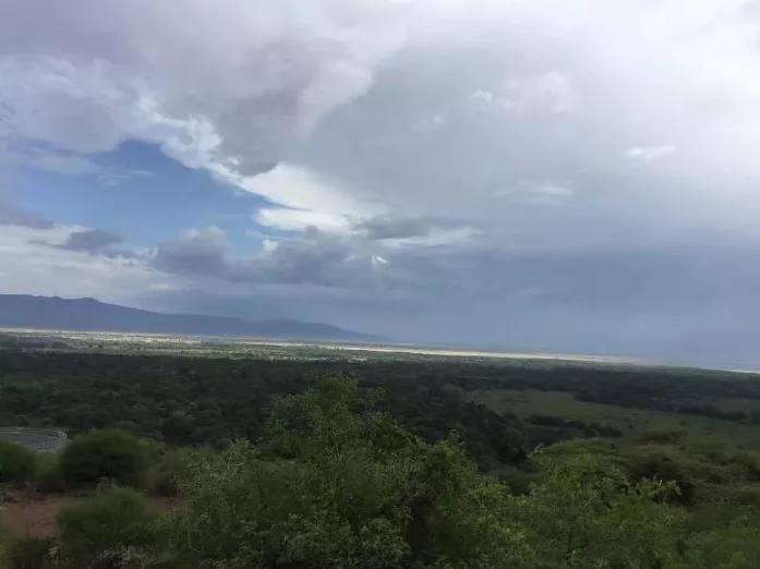 坦桑尼亞東非大草原safari旅游攻略