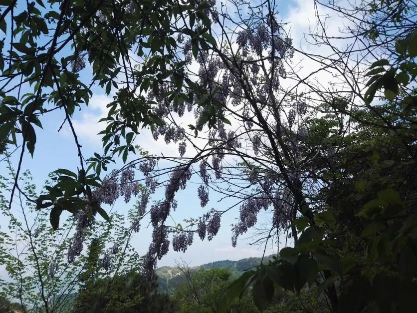 龜峰山風(fēng)景區(qū)好玩嗎 龜峰山旅游攻略