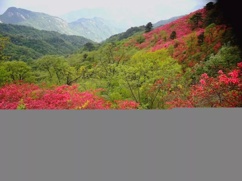 龜峰山風(fēng)景區(qū)好玩嗎 龜峰山旅游攻略