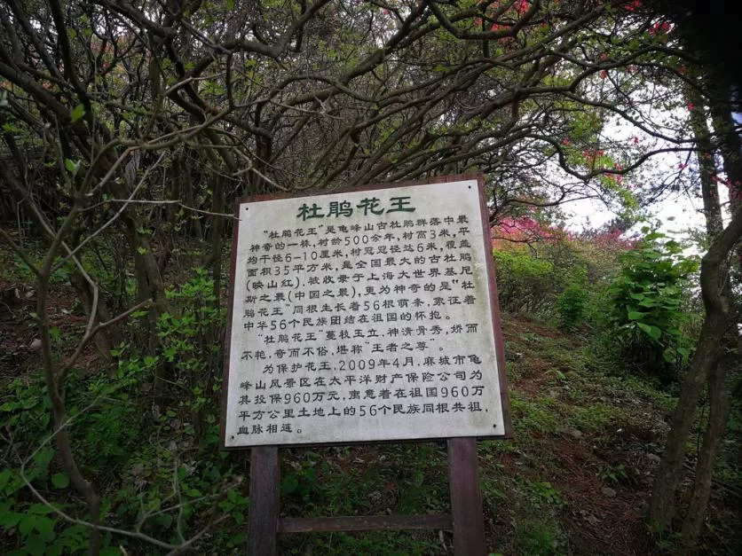 龜峰山風(fēng)景區(qū)好玩嗎 龜峰山旅游攻略