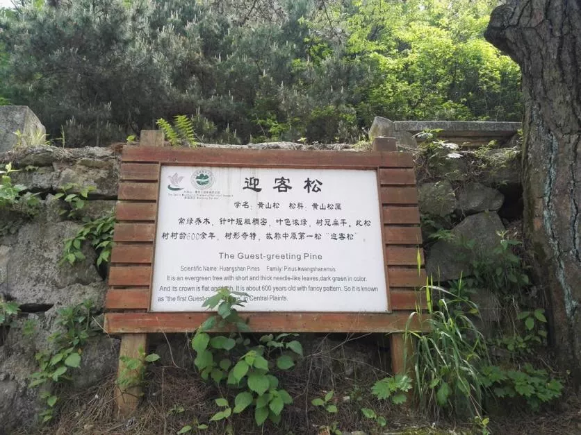 龜峰山風(fēng)景區(qū)好玩嗎 龜峰山旅游攻略