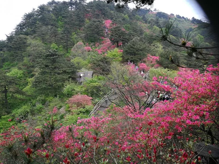 龜峰山風(fēng)景區(qū)好玩嗎 龜峰山旅游攻略