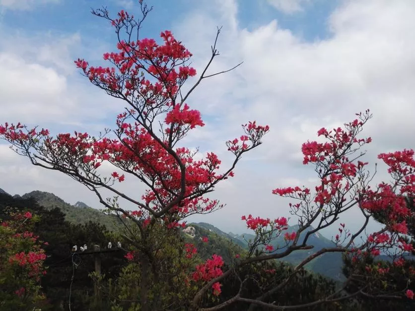 龜峰山風(fēng)景區(qū)好玩嗎 龜峰山旅游攻略