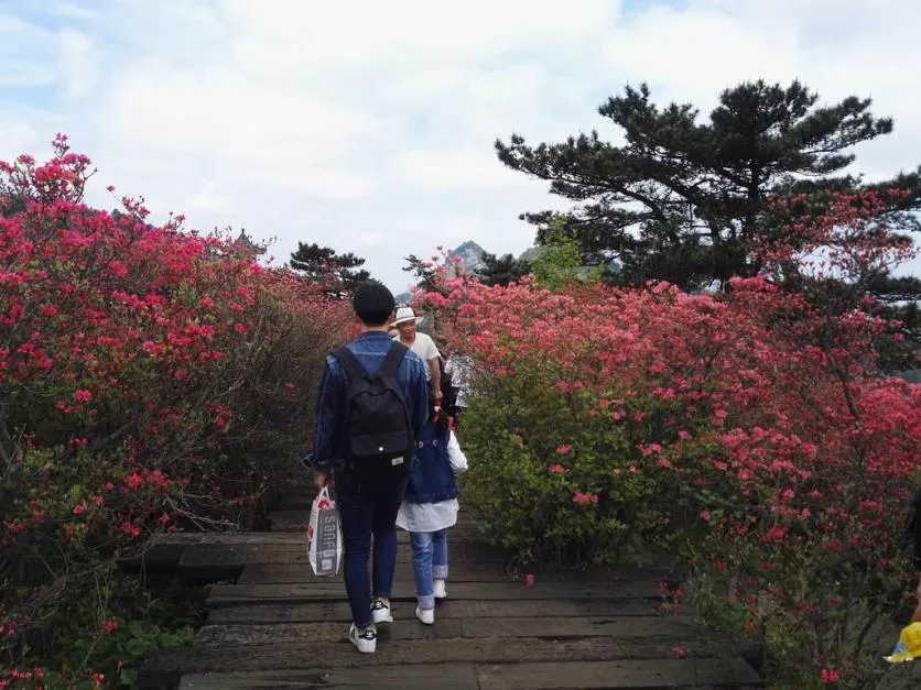 龜峰山風(fēng)景區(qū)好玩嗎 龜峰山旅游攻略