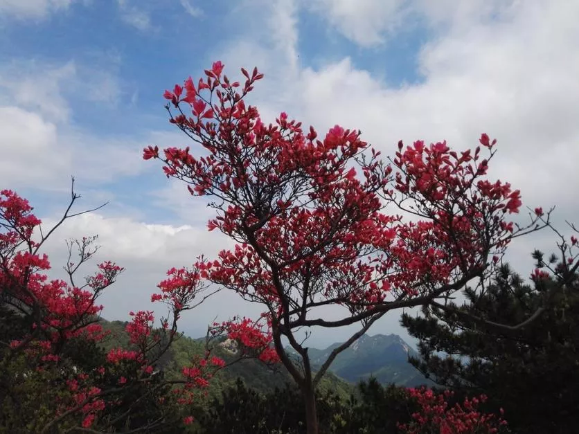 龜峰山風(fēng)景區(qū)好玩嗎 龜峰山旅游攻略