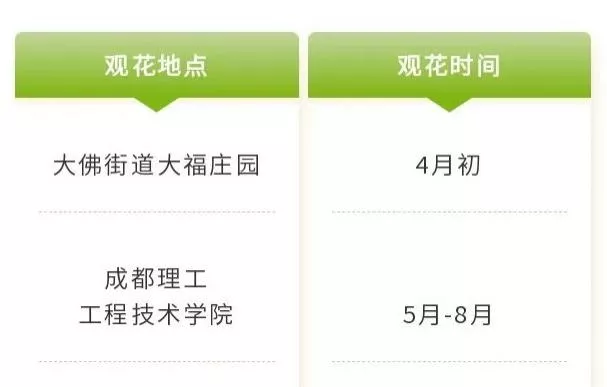 四川樂山市市中區(qū)春日賞花指南 附詳細花類、賞花地址、賞花時間