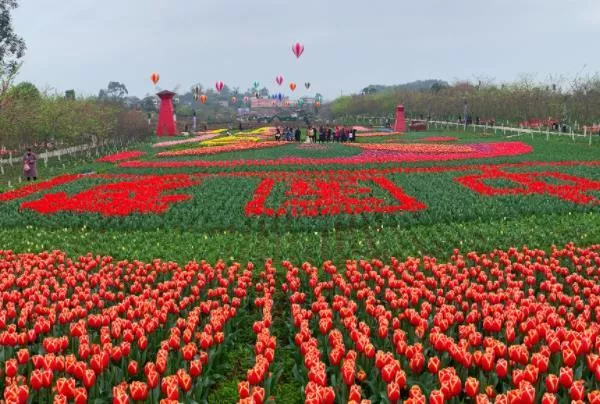 墊江牡丹花最佳時間2023 牡丹花節(jié)時間