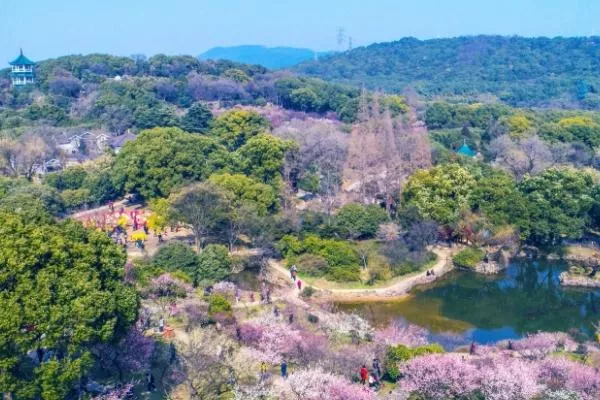 春季旅游最佳去處國(guó)內(nèi)有哪些地方